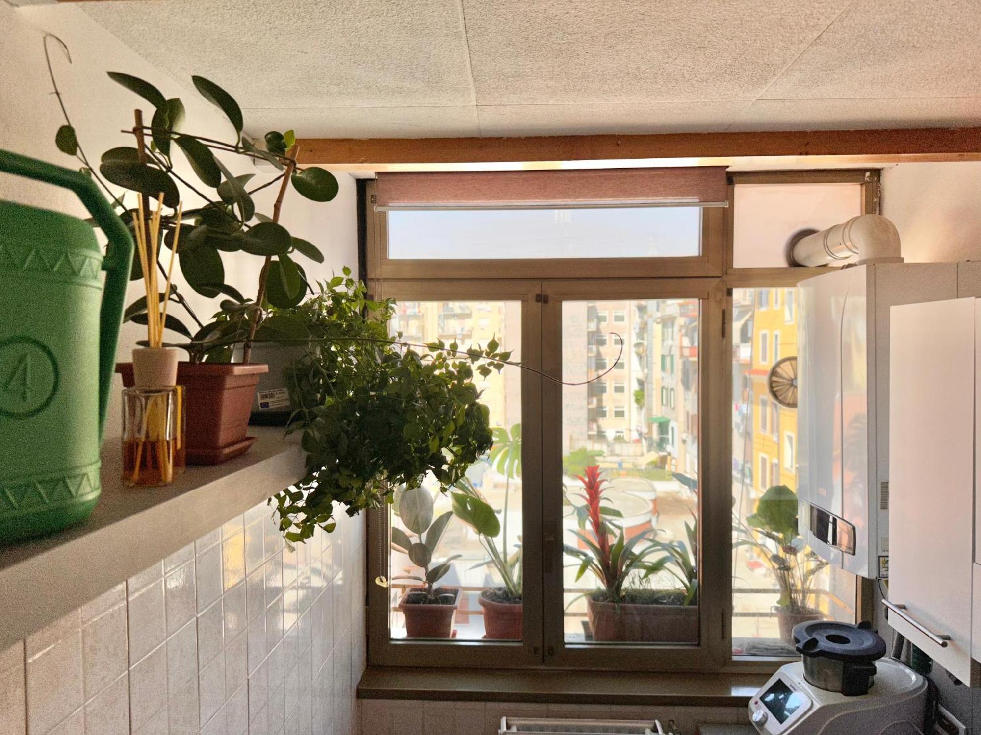 شقة Grimaldi House المظهر الخارجي الصورة